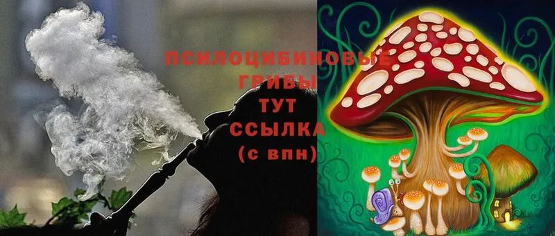 купить наркоту  Володарск  Галлюциногенные грибы Cubensis 