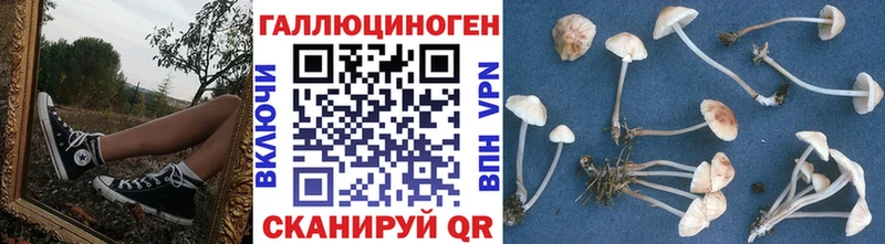 Галлюциногенные грибы прущие грибы  blacksprut сайт  Володарск 